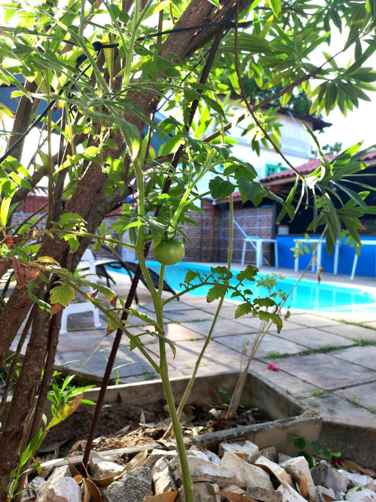 Pousada Flor Do Dende Porto Seguro Eksteriør billede
